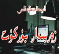 زەربىدار بۈركۈت