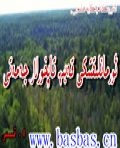 ۋەھشى تاپخورلار جەمەتى