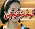 قوغدۇغۇچى