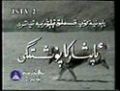 ئاپشاركا پۇشتىگى
