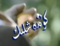 كۈندەشلىك-تۈركىيە