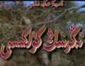 تەڭرىنىڭ كۈلكىسى