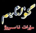 گۇلئايىم
