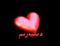 دىلبەرىم