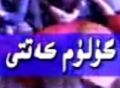 گۈلۈم كەتتى