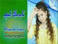 ئايدىڭ كېچە