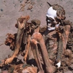 قورقۇنچلۇق چىرىغان جەسسەتلەر