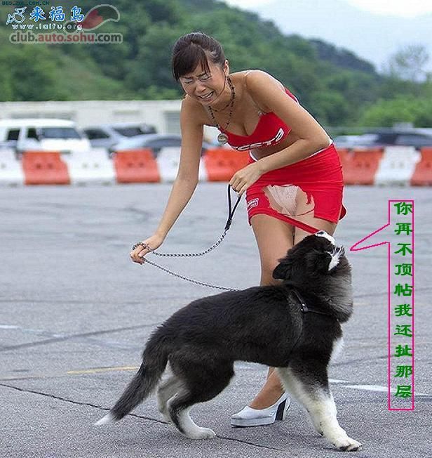 图片说明1