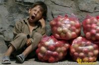 图片说明4