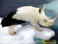 图片说明1