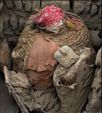 图片说明4