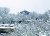 图片说明3