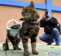 图片说明9