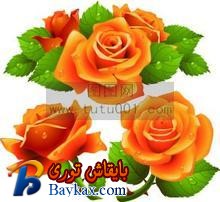 u=471986920,353880526&fm=52&gp=0.jpg