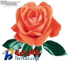 u=960800703,401730761&fm=52&gp=0.jpg