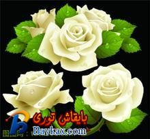 u=4015060577,2286377512&fm=52&gp=0.jpg