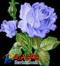 u=3871862360,2729086950&fm=52&gp=0.jpg