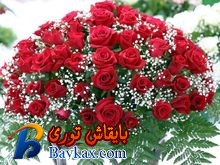 u=145867942,2546324113&fm=3&gp=0.jpg
