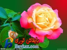 u=335263203,295917533&fm=52&gp=0.jpg