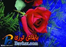 u=647350064,4165308302&fm=52&gp=0.jpg