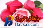 u=2724216281,2164238228&fm=0&gp=0.jpg