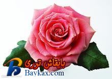 u=662822854,3724142371&fm=52&gp=0.jpg
