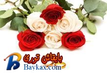 u=3441299781,1678529429&fm=52&gp=0.jpg