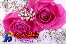 u=606398817,1517145683&fm=52&gp=0.jpg