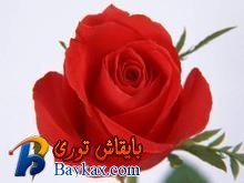 u=3317232889,1960017953&fm=52&gp=0.jpg