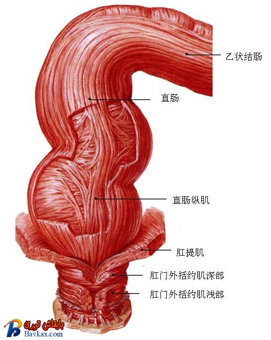 3-27ֱ