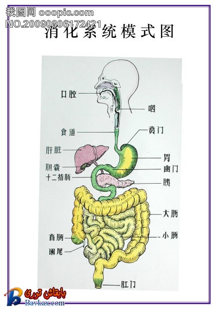 OOOPIC_yanhuanhuan_20090806a6f1c132db547b0a.jpg