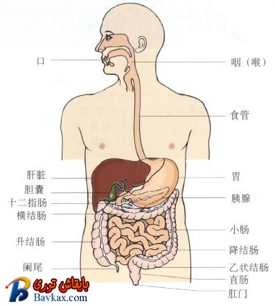 weichangdonglijianchashouce001.jpg