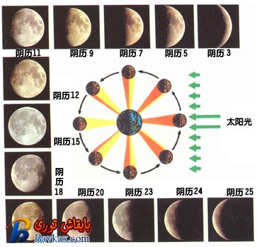 图x51.jpg
