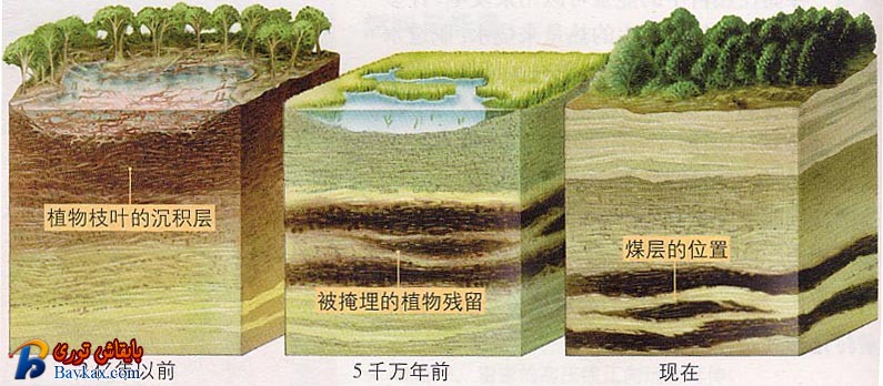 图x66.jpg