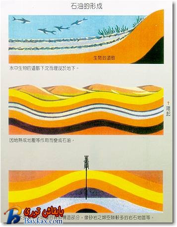 图x67.jpg