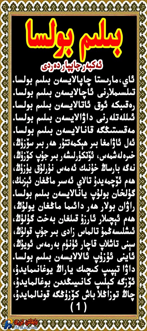 bilim bolsa-1副本.jpg