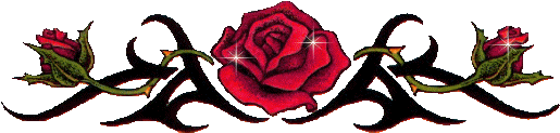 65933_com_201011211350168380.gif