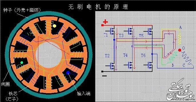 133837ekk6o6gza028u55u.jpg