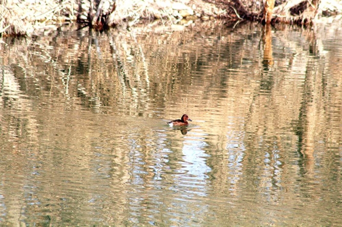 IMG_0550.jpg