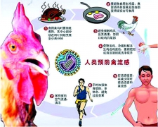 H7N9 تىپلىق قۇش زۇكىمى ۋە ئۇنىڭدىن ساقلىنىش