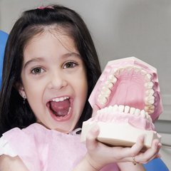 چىش بىلەن سالامەتلىكنىڭ مۇناسىۋىتى