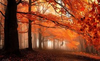 janek-sedlar-crowdfunding-880-4