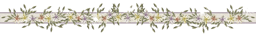 003542l65l52cb5l25u20e.gif