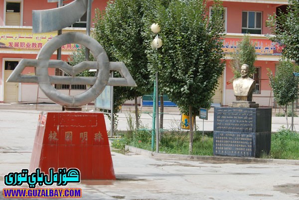 10.jpg