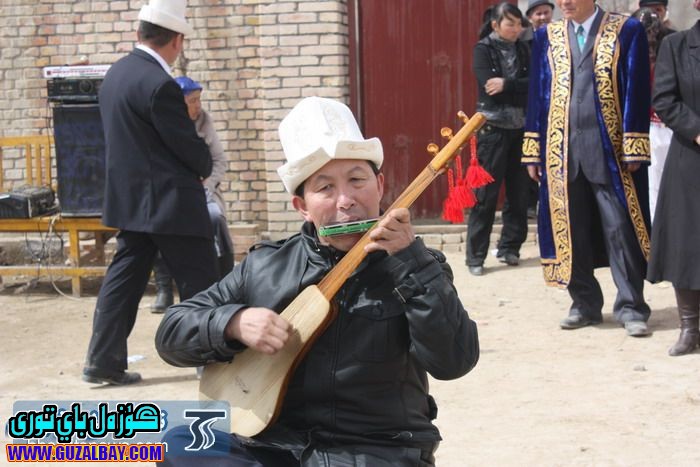 184350qocibqql6giu22hl.jpg