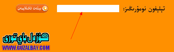 sas.png