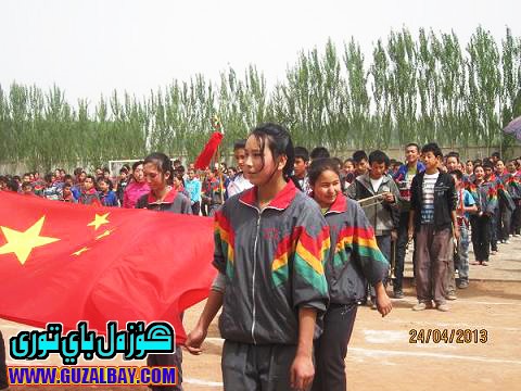 1113.JPG