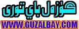 گۈزەل باي تورى