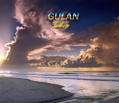 (Gulan)ئامېرىكىدىكى مۇساپىر تۇيغۇلار4