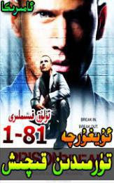 تۈرمىدىن قىچىش